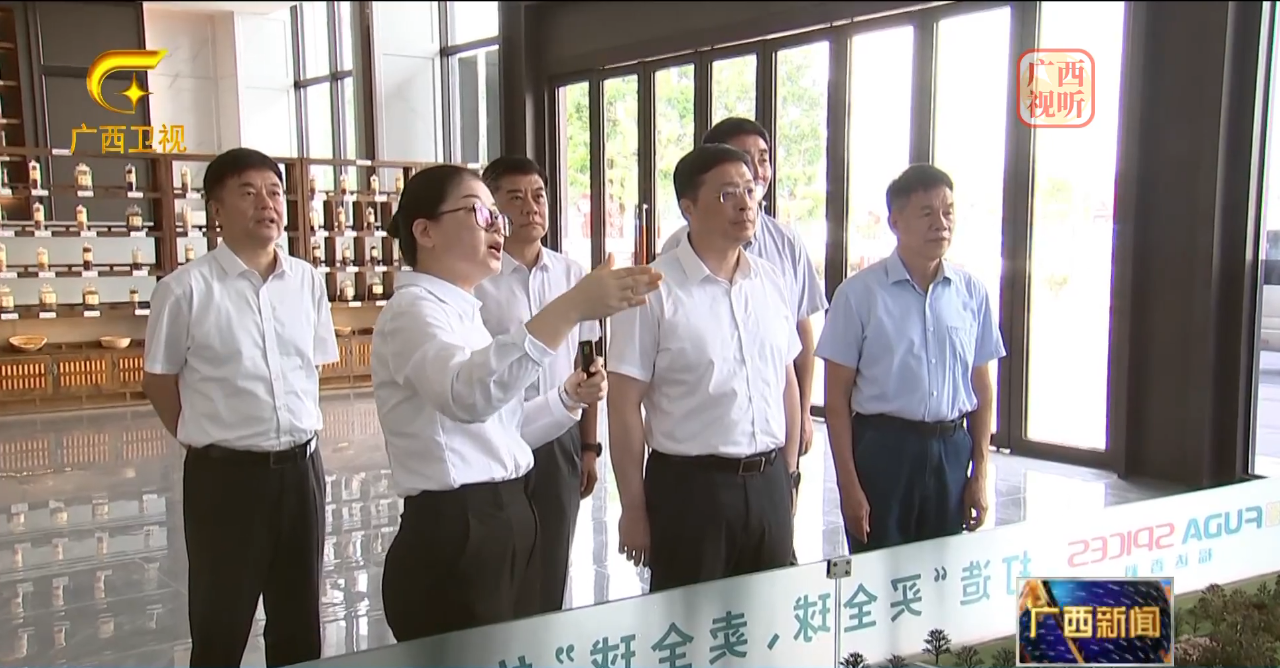 自治区代主席韦韬到玉林z6尊龙凯时国际香料物流港调研